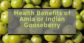 Health Benefits of Amla or Indian Gooseberry