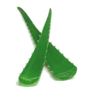 aloe vera for razor burn