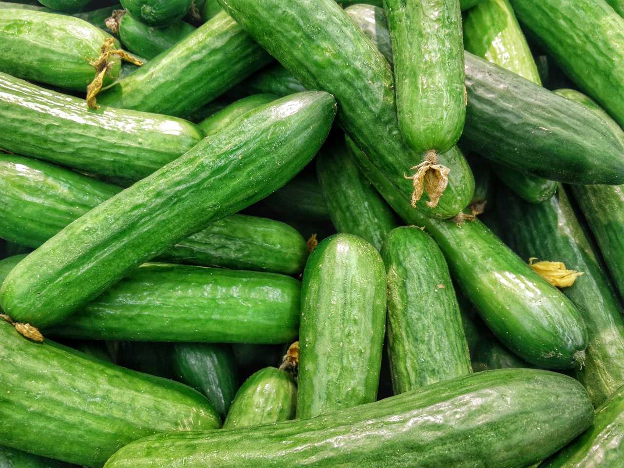 Cucumber weight loss food