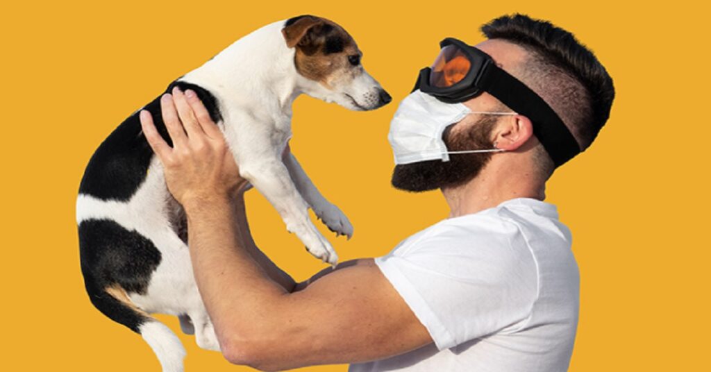 how-long-does-skunk-smell-last-on-a-dog-tips-to-remove-odor-dog-show-tv